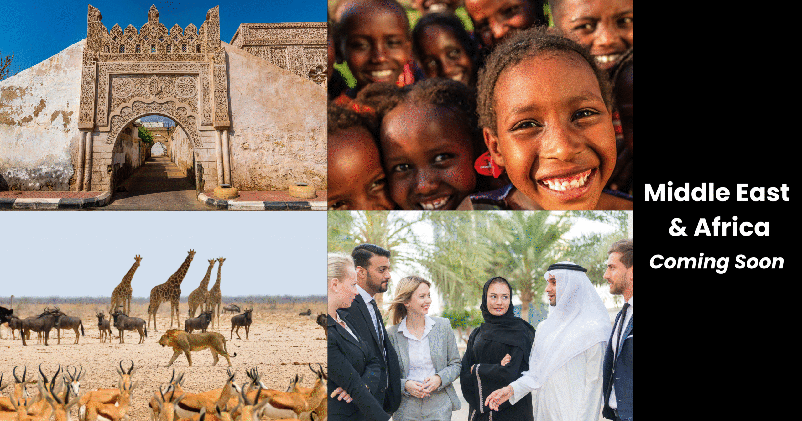 Africa & the Middle East